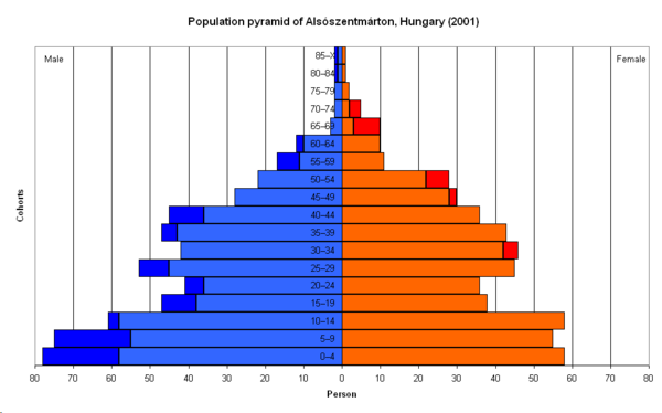 Population pyramid of Alsószentmárton (100% Romany inhabitants)