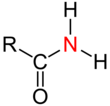 Prim. Amide Structural Formulae V.1.png