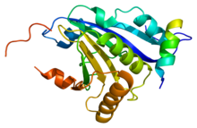 Protein EIF4E2 PDB 2jgb.png