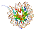 Minijatura za HIST1H4A