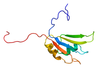 <span class="mw-page-title-main">HNRPH1</span> Protein-coding gene in the species Homo sapiens