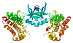 Thumbnail for TEK tyrosine kinase