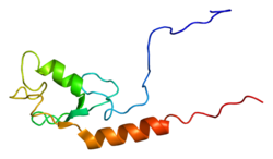 Протеин UBE4A PDB 1wgm.png