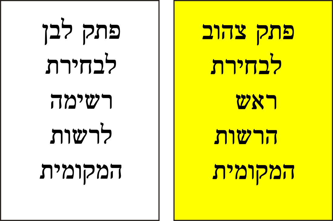 הבחירות לרשויות המקומיות בישראל (2008)