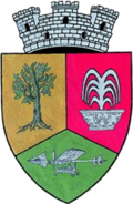 Geoagiu Coat of Arms