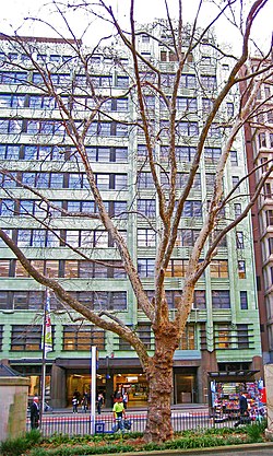 Railway House (1936) i Sydney.jpg