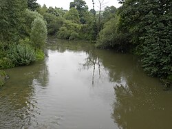 RiverAireApremont.JPG