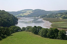 Mudflats and salt marshes on the lower reaches of the estuary system