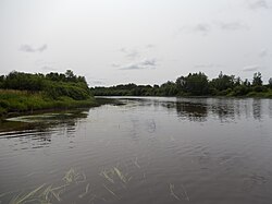 Rivière Turgeon à Val-Paradis 01.JPG