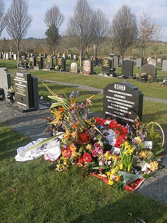 Best's grave at Roselawn Cemetery, overlooking east Belfast