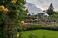 * Nomination: Rose garden and palm house of Mainau Island, Lake Constance. --JoachimKohler-HB 01:20, 15 January 2024 (UTC) * * Review needed