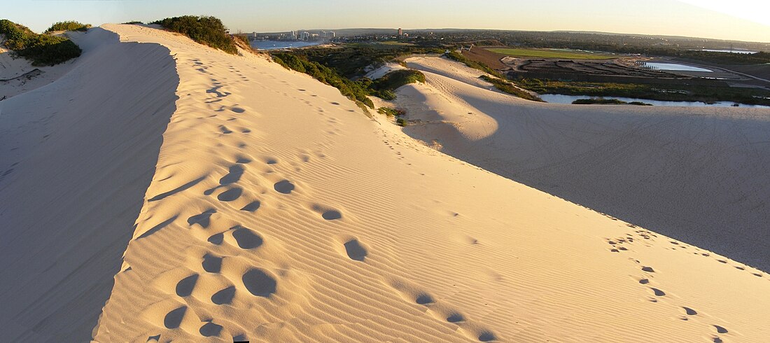 Cronulla sand dunes