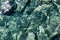 * Nomination Water at the coast of Perissa, Santorini, Greece --XRay 05:02, 11 November 2017 (UTC) * Promotion Nice.--Famberhorst 06:48, 11 November 2017 (UTC)