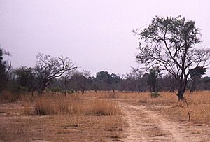 Savane-boundiali-edit.jpg