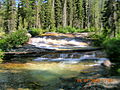 Stream in the Sawtooth Wilderness