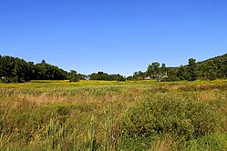 Jackson Township, Chase yakınında doğuya doğru bakıyor