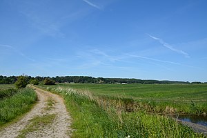 Schleswig-Holstein, Dithmarschen, Naturschutzgebiet Kudensee und Umgebung NIK 3195.jpg