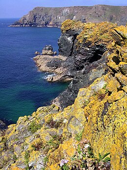 Seaward side of Asparagus Island - geograph.org.uk - 1071400.jpg