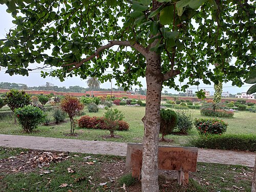 Shalban Vihara in Mainamati,Cumilla