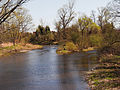 Confluence of Sieber (left) in the Oder (right) at Hattorf