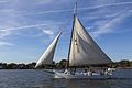 * Nomination Skipjack Sigsbee on the Chester River --Acroterion 03:30, 29 October 2016 (UTC) * Promotion Very nice photo, but I see at least 2 dust spots which should be fixed before promotion: One is to the left of the upper part of the mast, the other in the sky some ways to the right of the lower middle or so of that same mast. I figure the much smaller spots are probably birds, so those are fine. Otherwise, a quality picture. -- Ikan Kekek 04:11, 29 October 2016 (UTC) Dust spots and distant bird removed - thanks! Acroterion 14:37, 29 October 2016 (UTC) Very good quality now, and conceivably a featurable picture, though I'm unsure whether it would get the votes if nominated. I might see some very light dust spots near the top margin toward the left side, so check and see if you find any. -- Ikan Kekek 09:18, 30 October 2016 (UTC)