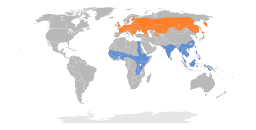 Spatula querquedula map