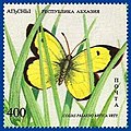 File:Stamp of Abkhazia - 1995 - Colnect 774956 - Chess Games Karpov -  Timman and Kasparov - Short.jpeg - Wikimedia Commons