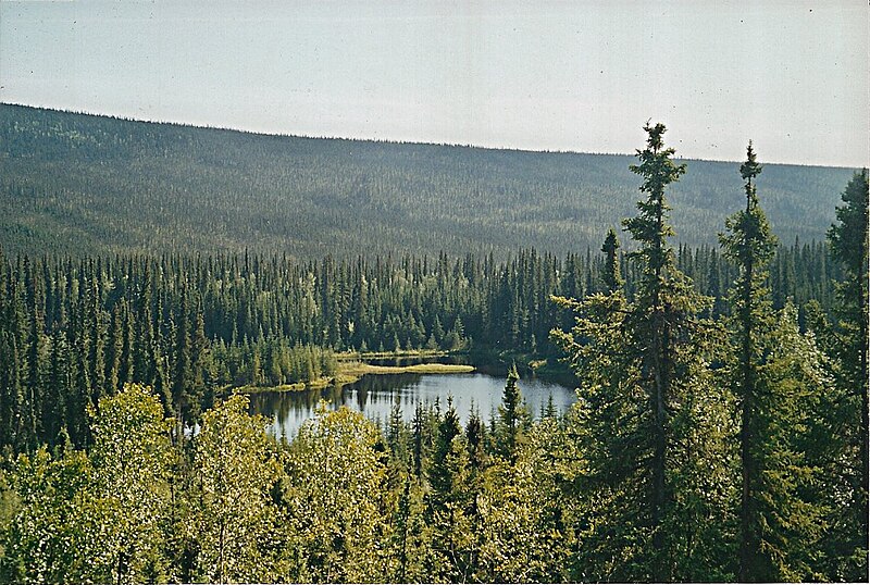 File:Steese highway1 alaska.jpg