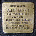 image=File:Stolperstein_Hostatostraße_3_Betti_Cohen.jpg