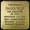 Stolperstein Kreuzberg Kottbuser Str 13 Bianka Wolf.jpg