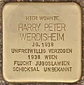 Stumbling stone for Harry Peter Werdisheim 2 (Leoben) .jpg