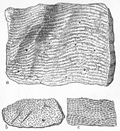 Limestone is a type of sedimentary rock found in Canada, where half the Yukon River Basin is located