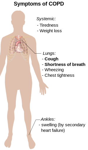 Symptoms of COPD.svg