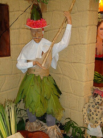 Archivo:Tenosique. Indumentaria danza del Pochó.jpg - Wikipedia, la  enciclopedia libre