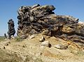 Die Teufelsmauer zwischen Thale, Blankenburg und Quedlinburg im nördlichen Harzvorland.