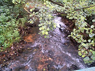 The Holzbach near Thailen