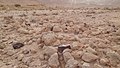 "Temples boulevard" at the foot of Har Karkom ridge, Israel