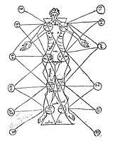 11th century English: The humors and proportions. According to Zodiac. Burgos de Osma