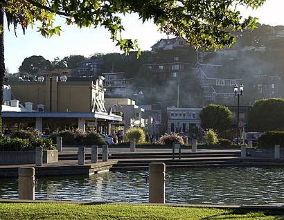 How to get to Tiburon, California with public transit - About the place