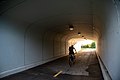 Trail under the Humpback Bridge (3d1dfa6c-2e63-4ed9-9b11-fcc1ea65e8a8).jpg