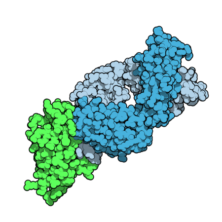 Tremelimumab