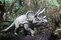 Half-sized model of a triceratops, (Great Otway National Park, Australia).