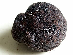 Truffe noire du Périgord.jpg