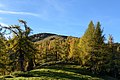 * Nomination Hochanger mountain near Turnau, Styria, Austria – view from alpine pasture Göriacher Alm --Uoaei1 04:55, 23 November 2017 (UTC) * Promotion Good quality. --GT1976 06:03, 23 November 2017 (UTC)