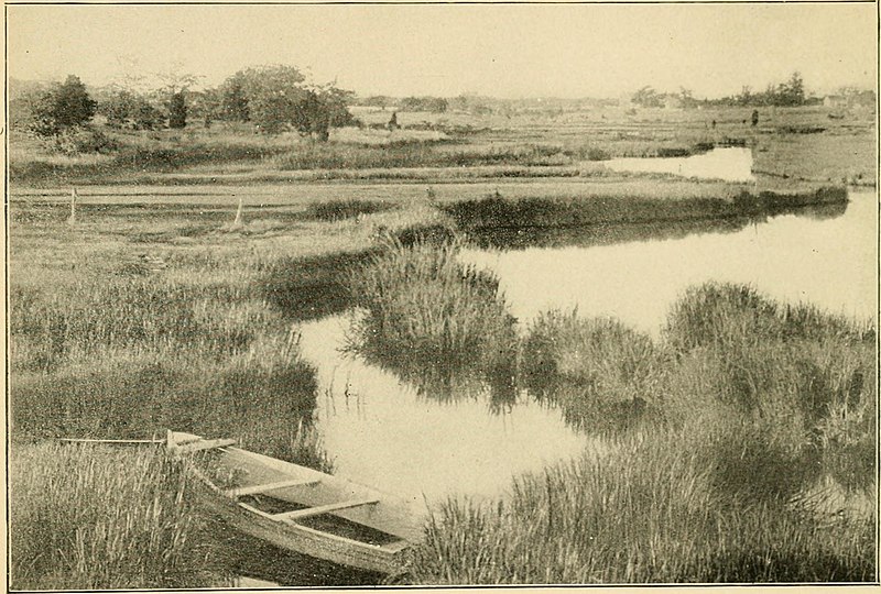 File:Unique Long Island. (camera sketches) (1901) (14760014025).jpg
