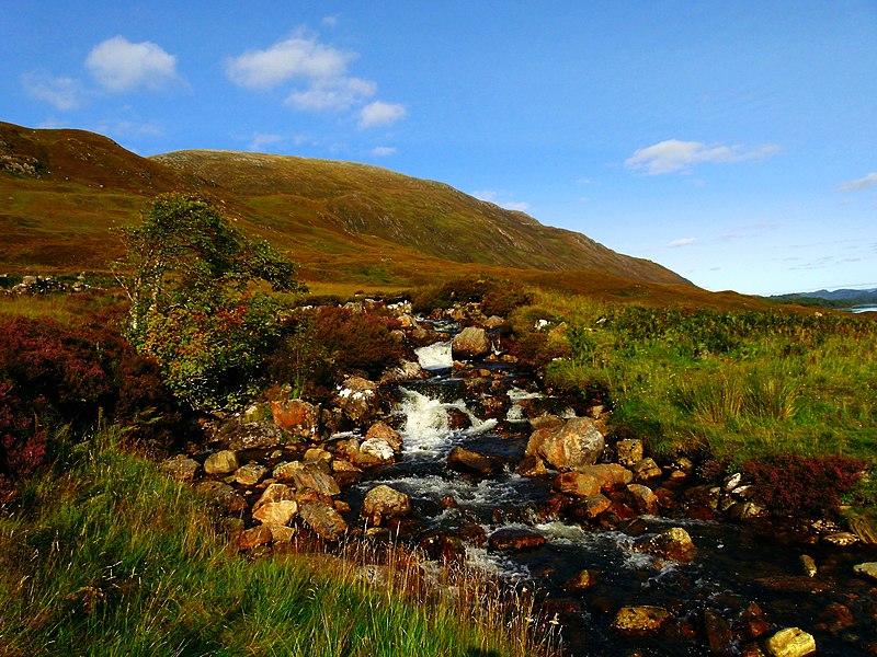 File:Up Hill - panoramio.jpg