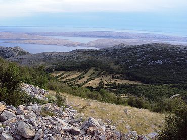 Velebit