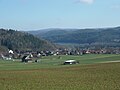 Viermünden, Ansicht aus Süden im Februar