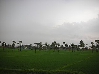 Mandapeta Town in Andhra Pradesh, India