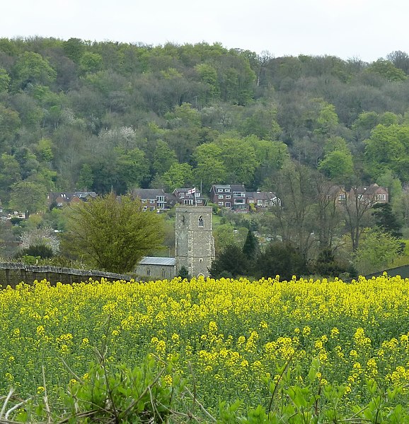 File:View to St John the Baptist, Aldbury (geograph 3446320).jpg